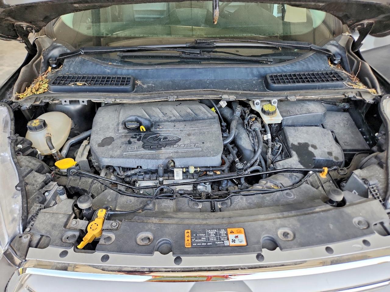 Ford Escape Se