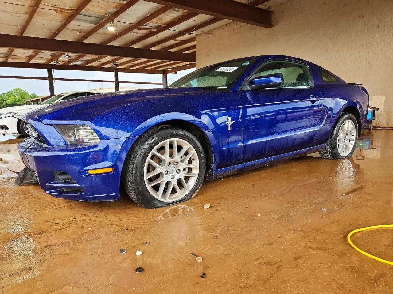 Salvage Ford Mustang Image