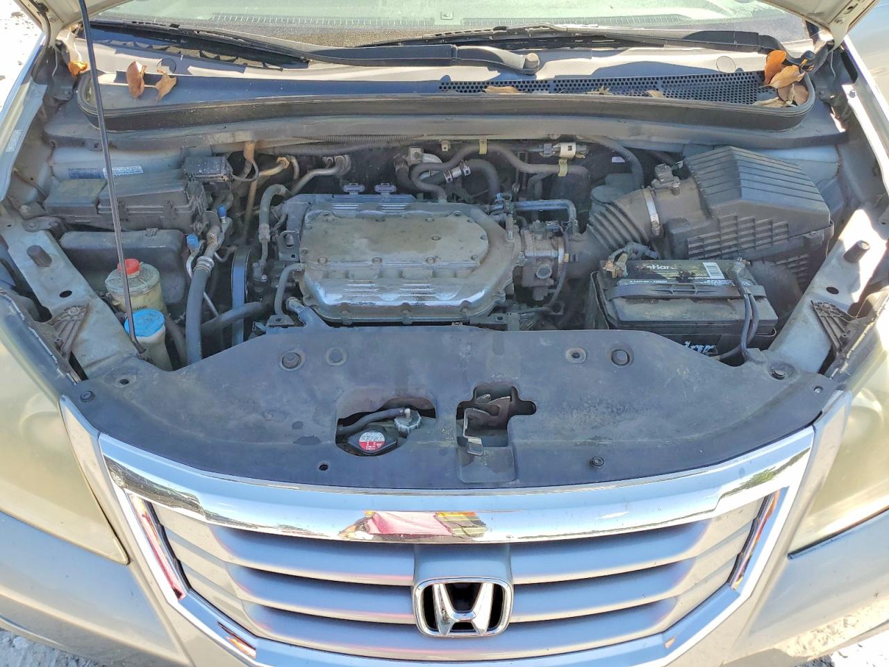Honda Odyssey Exl