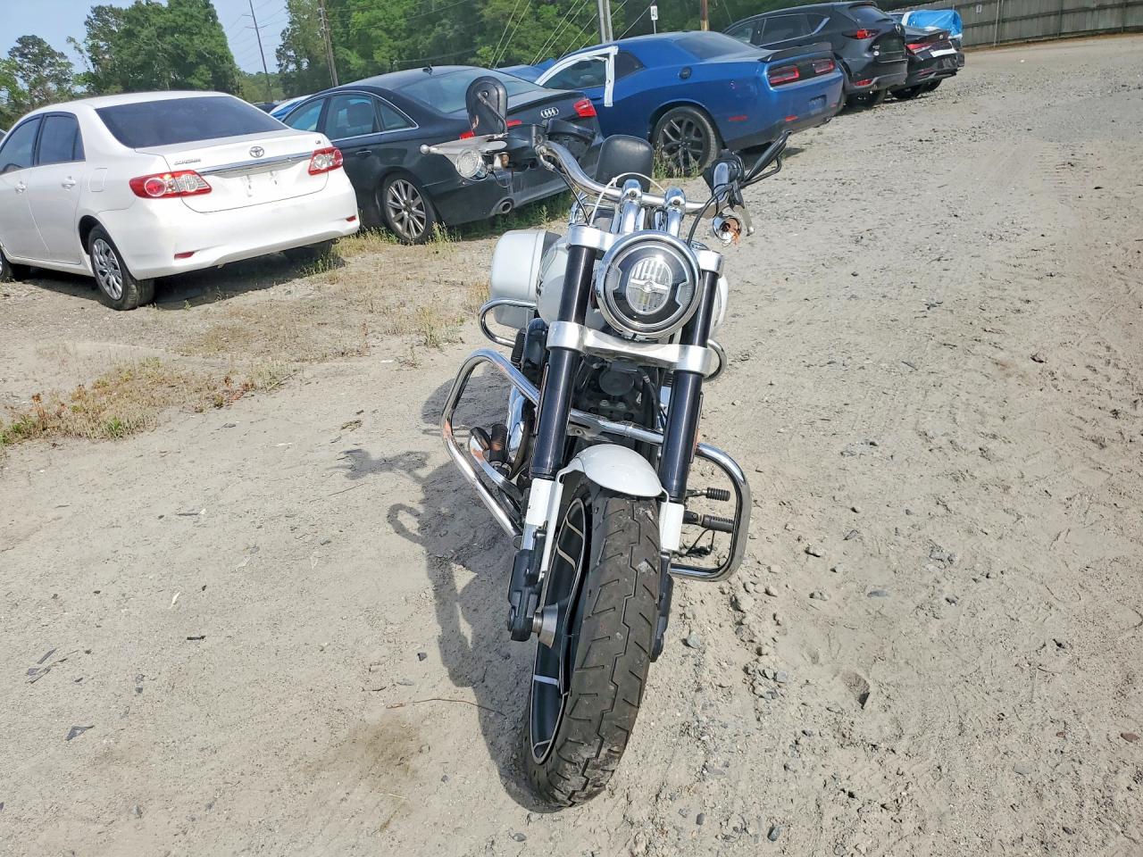 Harley-Davidson Flsb