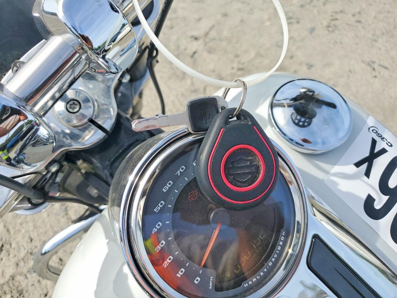Harley-Davidson Flsb