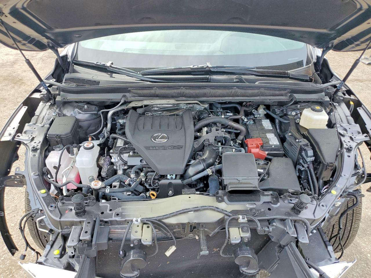 Lexus RX Premium