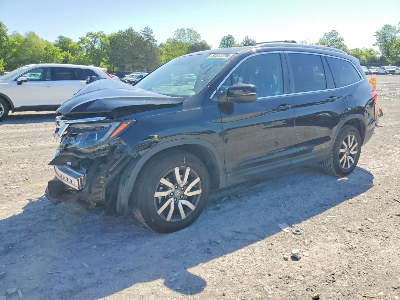 Salvage Honda Pilot Image