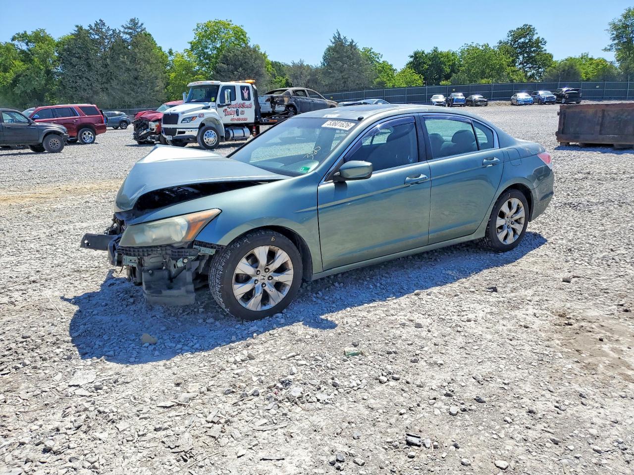 Salvage Honda Accord Image