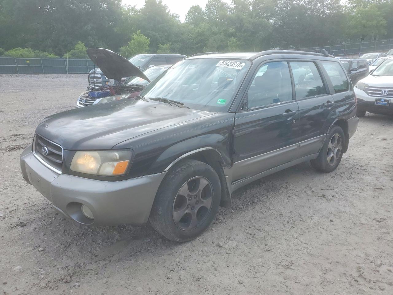 Salvage Subaru Forester Image