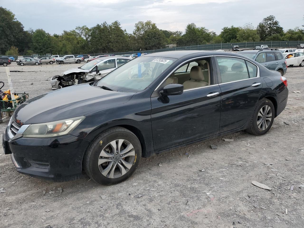 Salvage Honda Accord Image