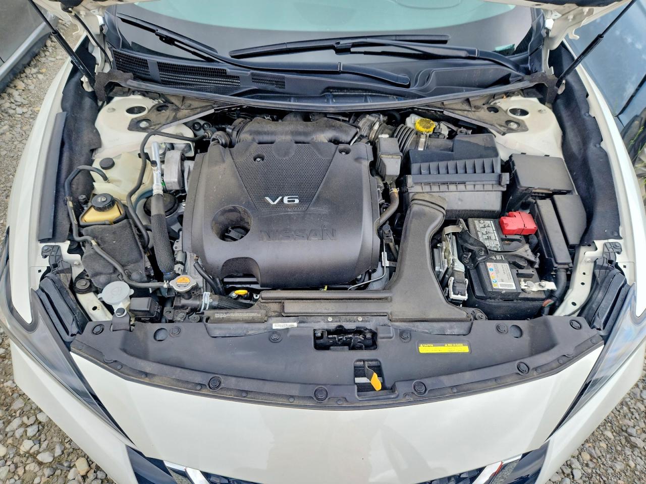 Nissan Maxima Sv