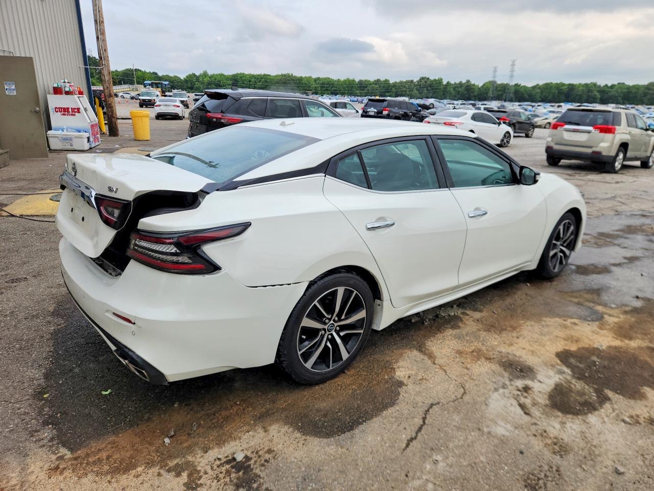 Nissan Maxima Sv