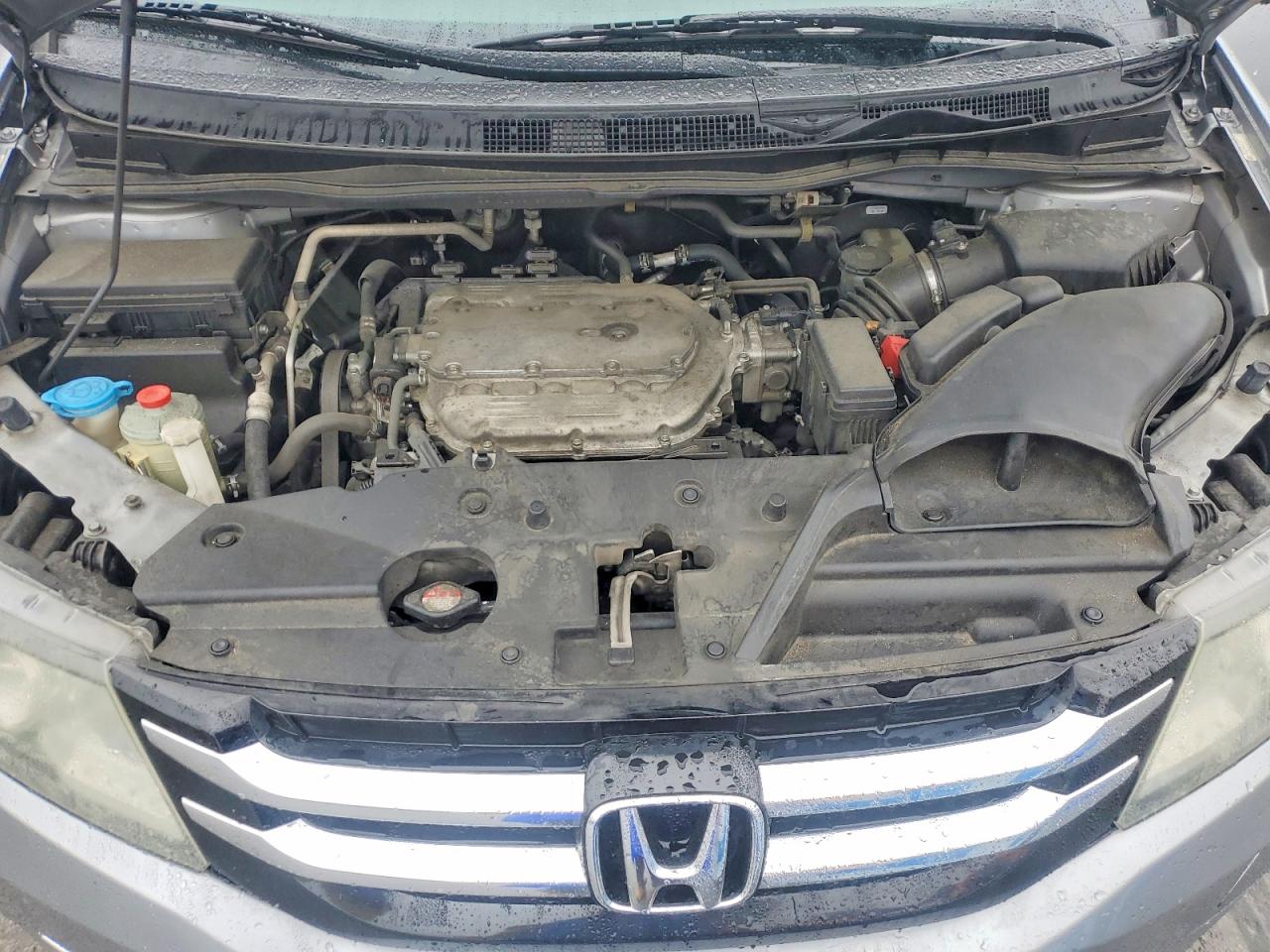 Honda Odyssey Exl