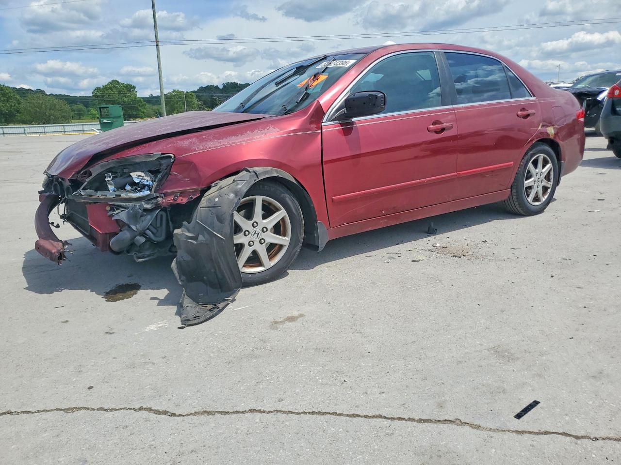 Salvage Honda Accord Image
