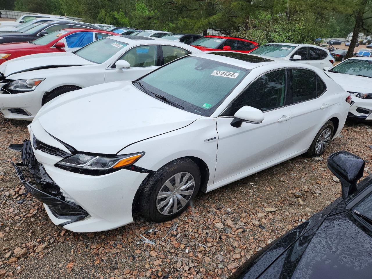 Salvage Toyota Camry Image