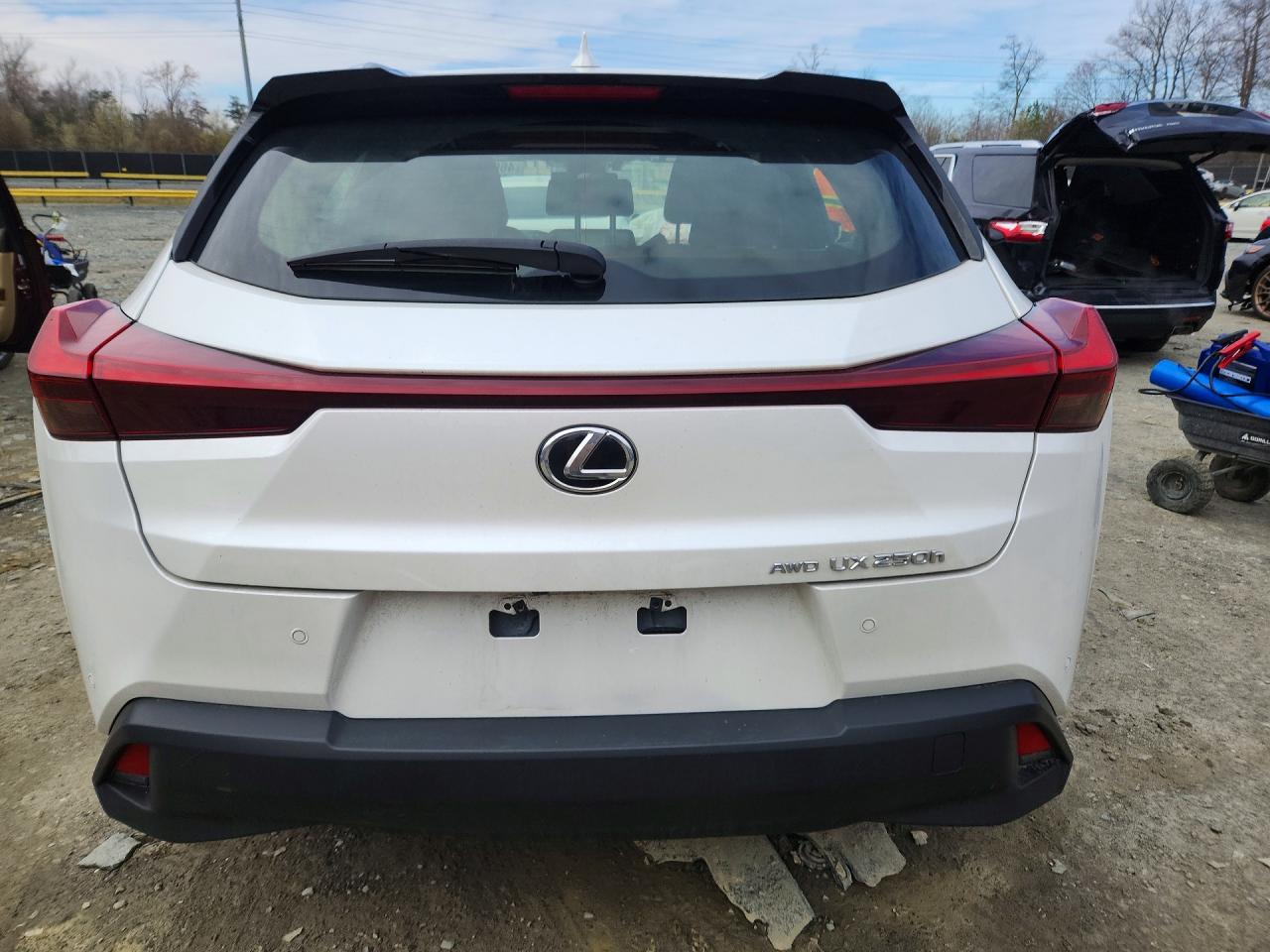 Lexus Other Premium