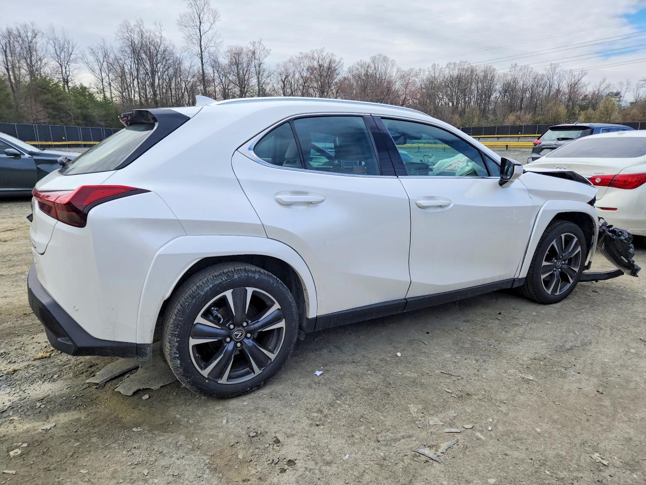 Lexus Other Premium