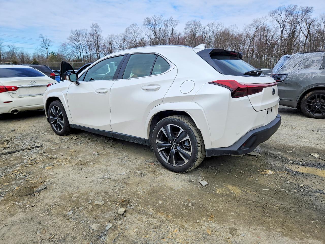Lexus Other Premium