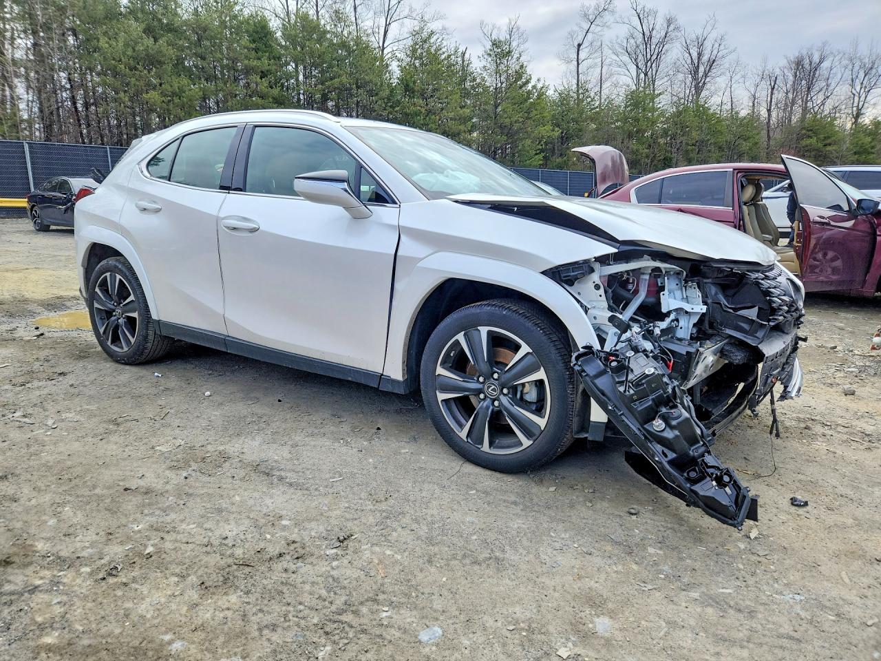 Lexus Other Premium