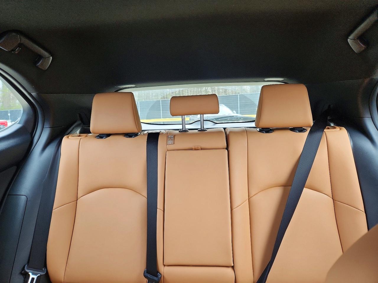 Lexus Other Premium