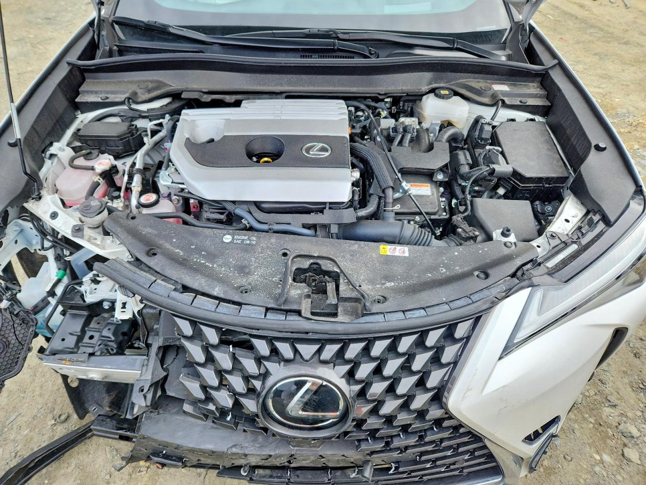 Lexus Other Premium