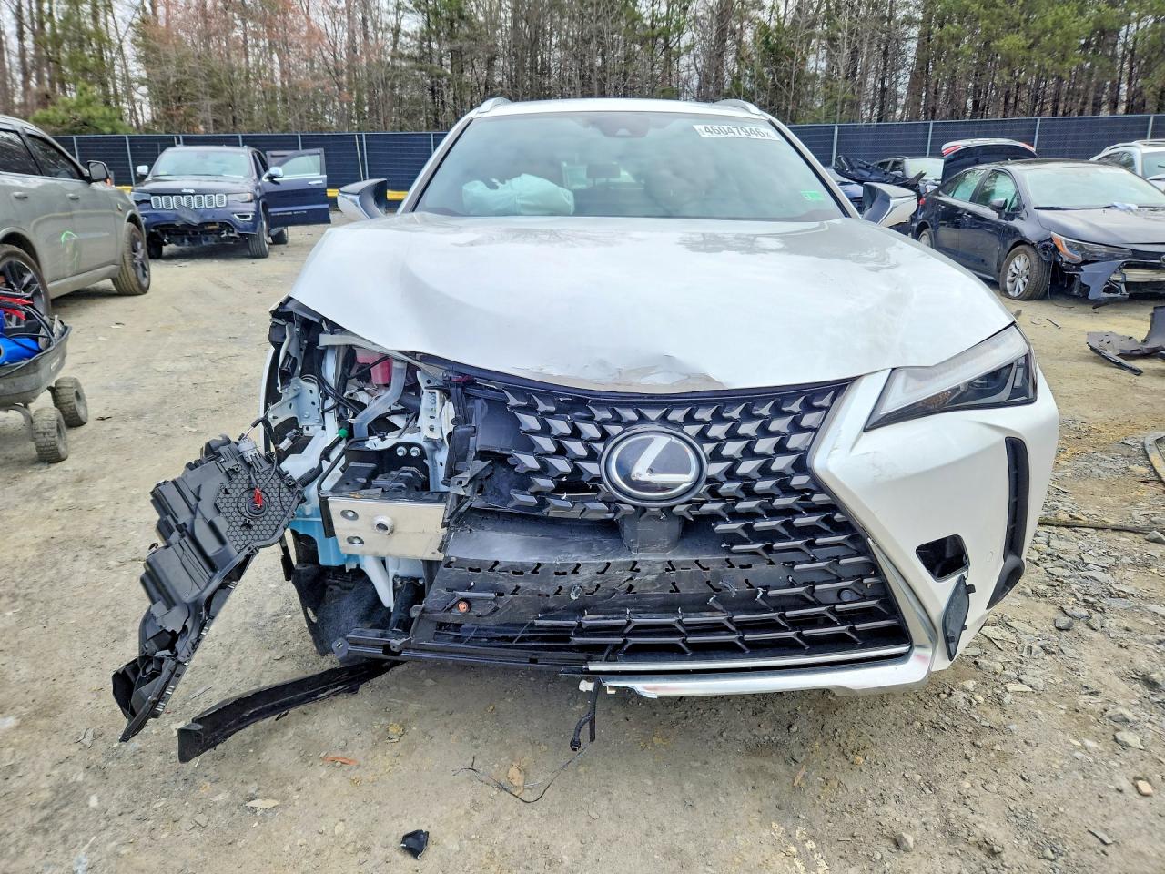 Lexus Other Premium