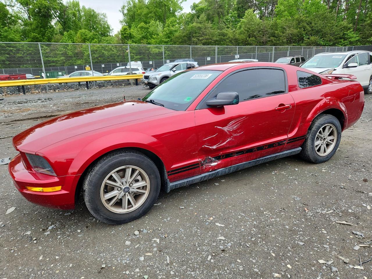 Salvage Ford Mustang Image