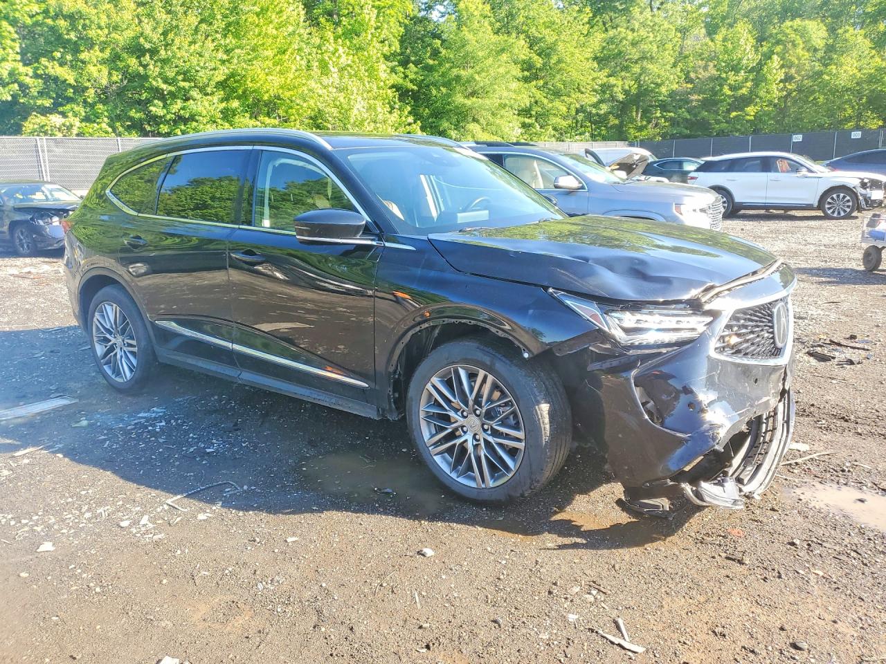 Acura MDX Advance