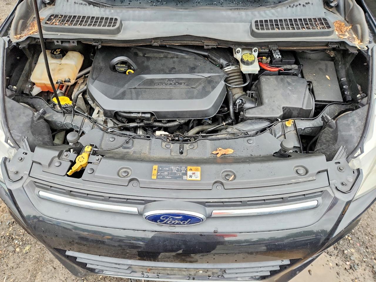 Ford Escape Se