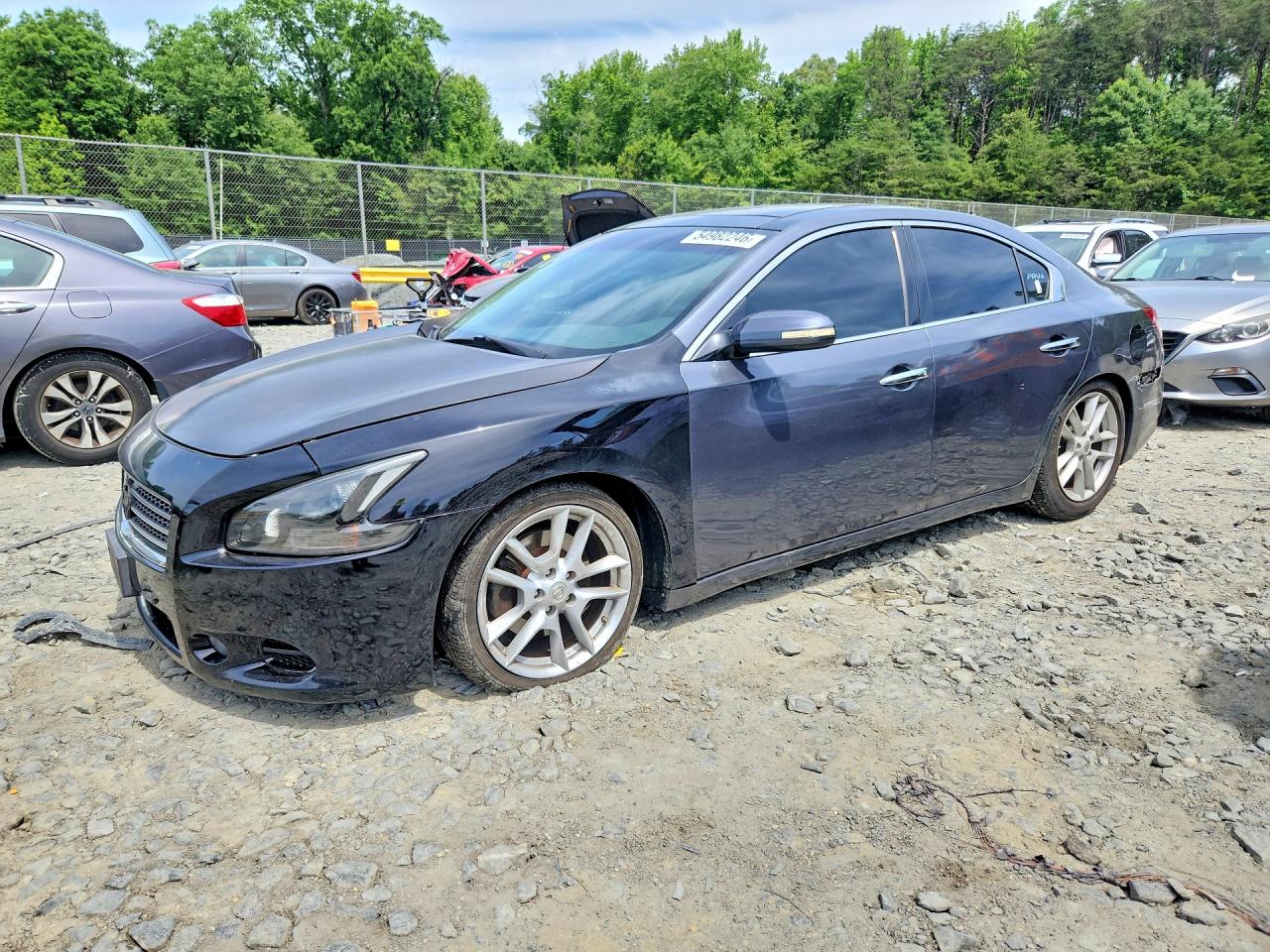 Salvage Nissan Maxima Image
