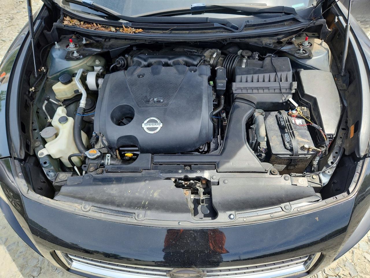 Nissan Maxima 3.5 S