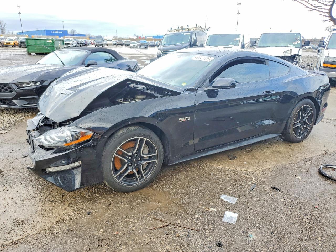 Salvage Ford Mustang Image