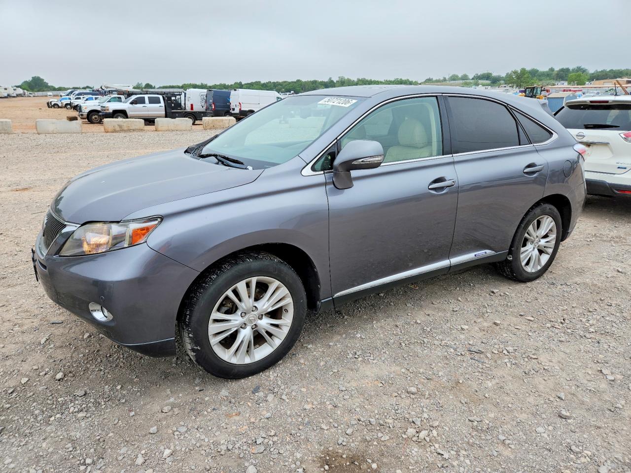 Salvage Lexus RX Image