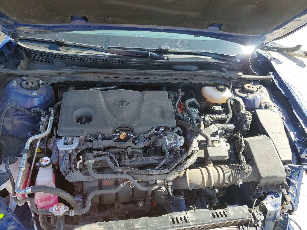Toyota Camry Xle