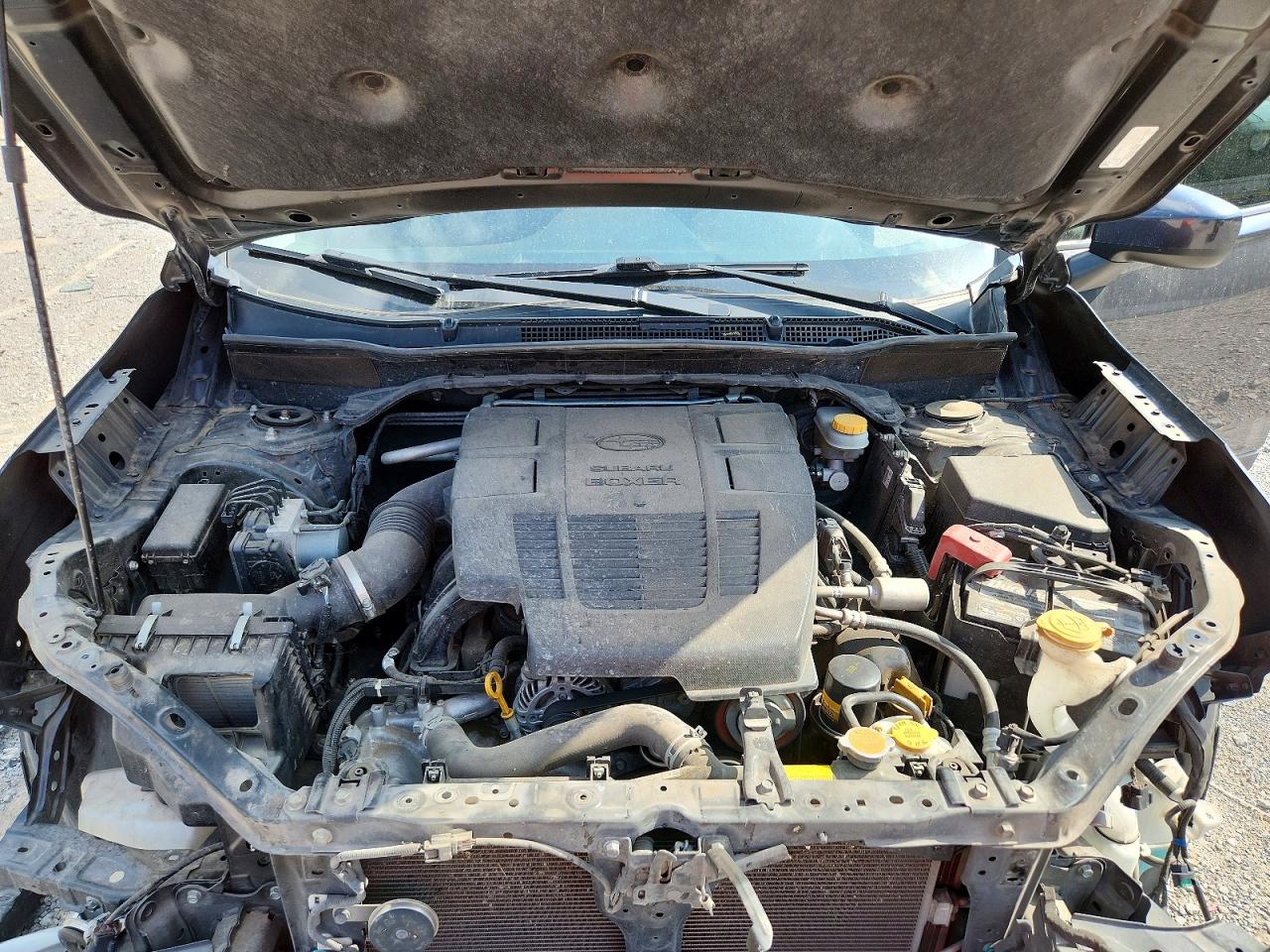 Subaru Forester Premium