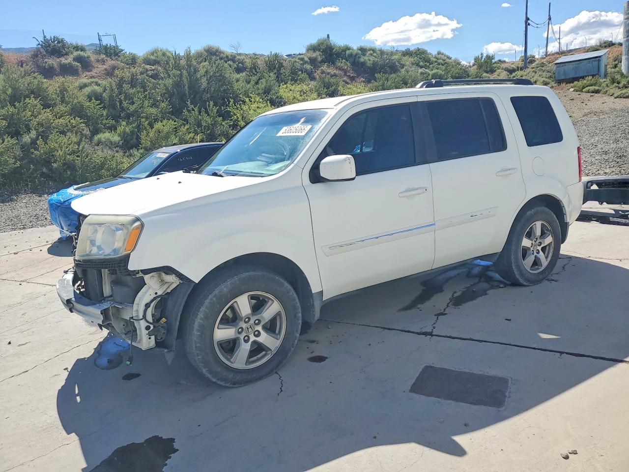 Salvage Honda Pilot Image