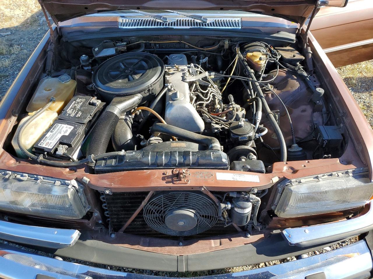 Mercedes-Benz S-Class Sd