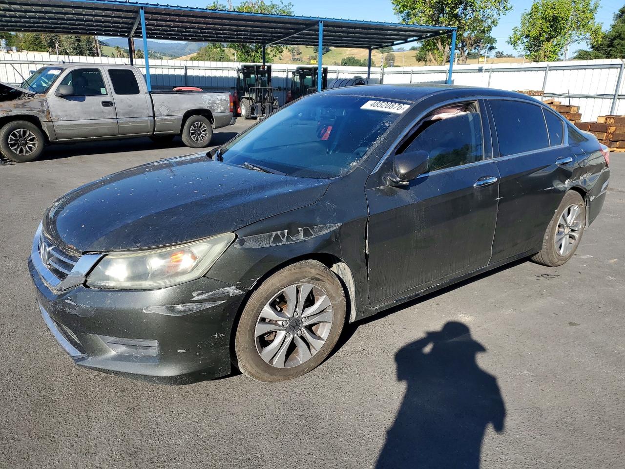 Salvage Honda Accord Image