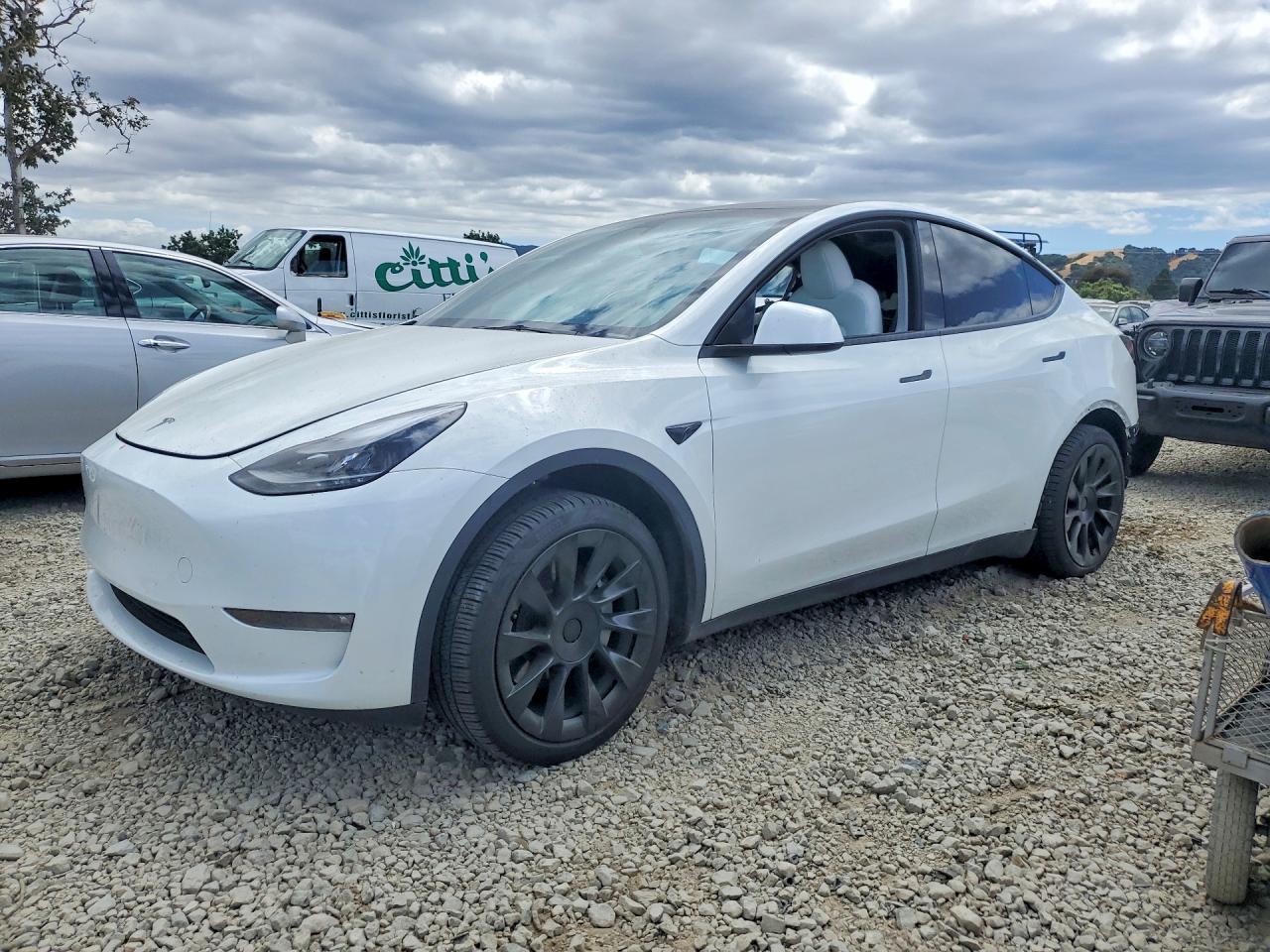 Salvage Tesla Model Y Image