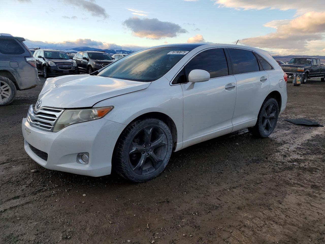 Salvage Toyota Venza Image