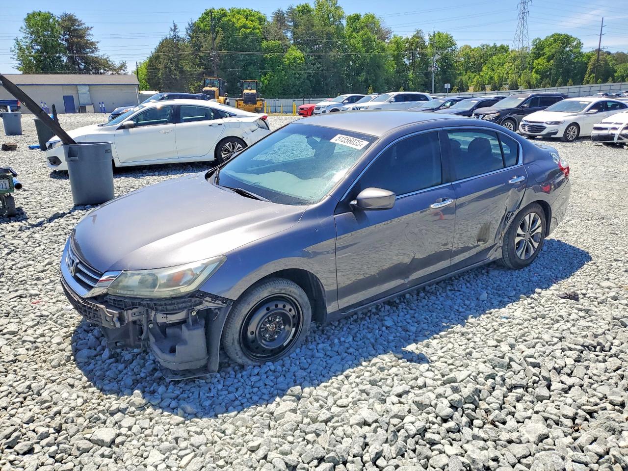 Salvage Honda Accord Image