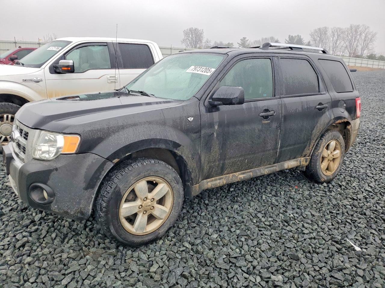 Salvage Ford Escape Image