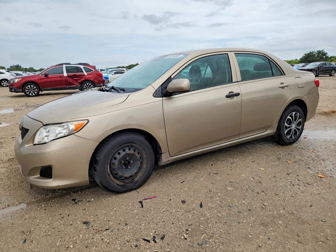 Salvage Toyota Corolla Image