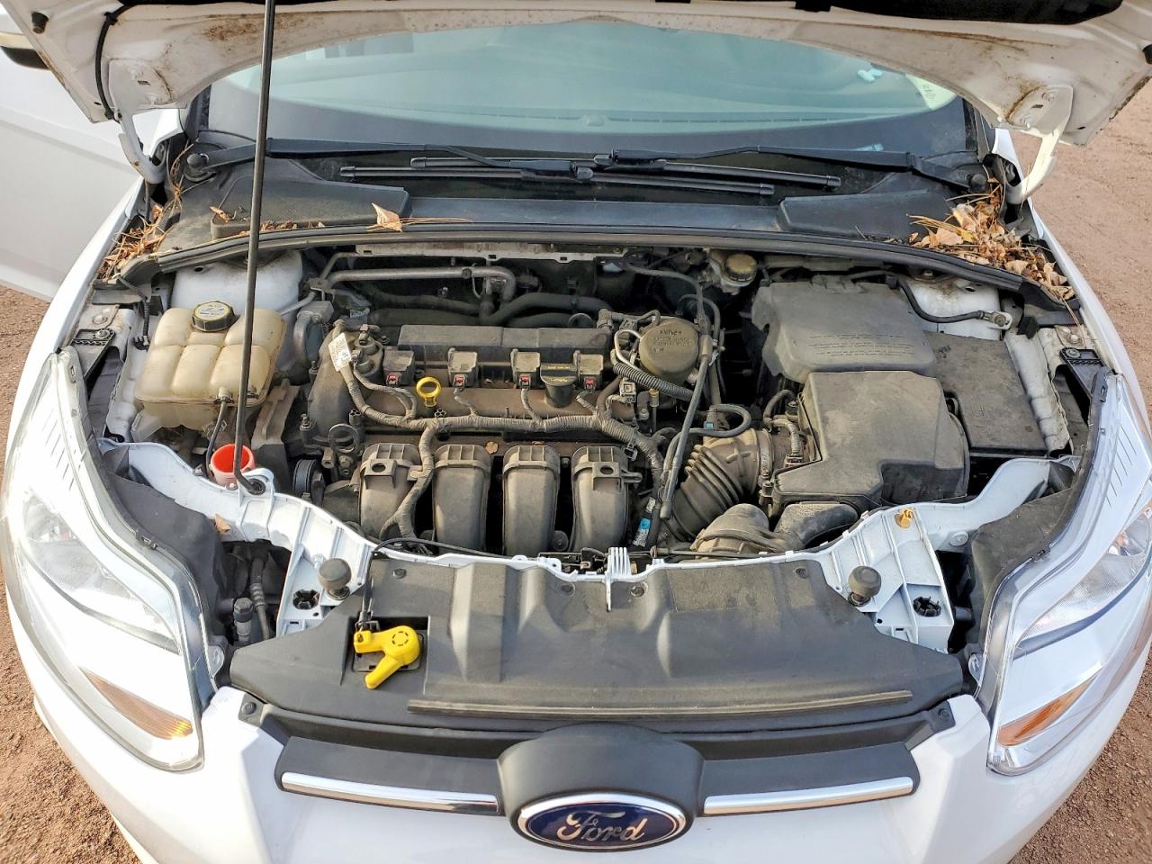 Ford Focus Se