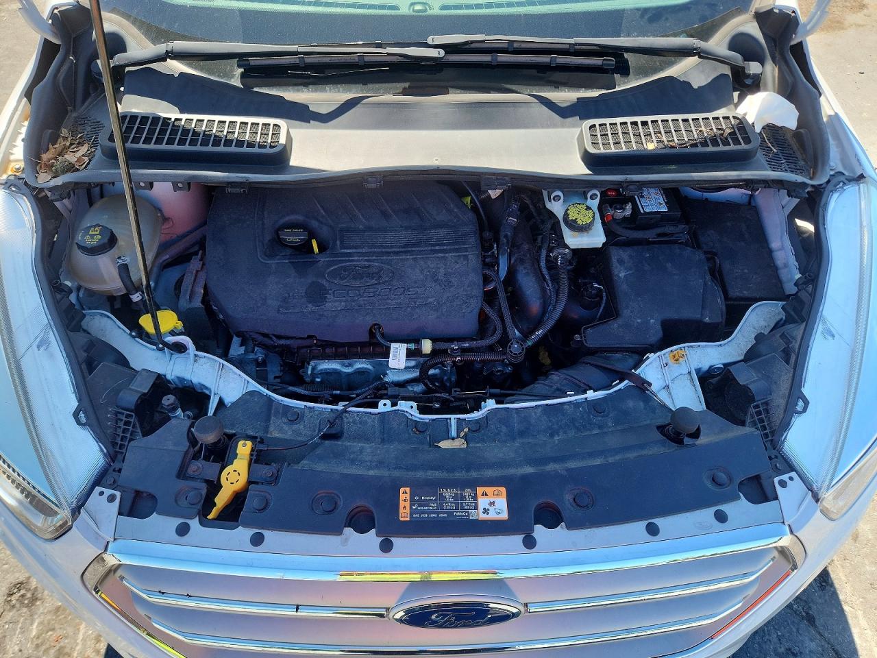 Ford Escape Se