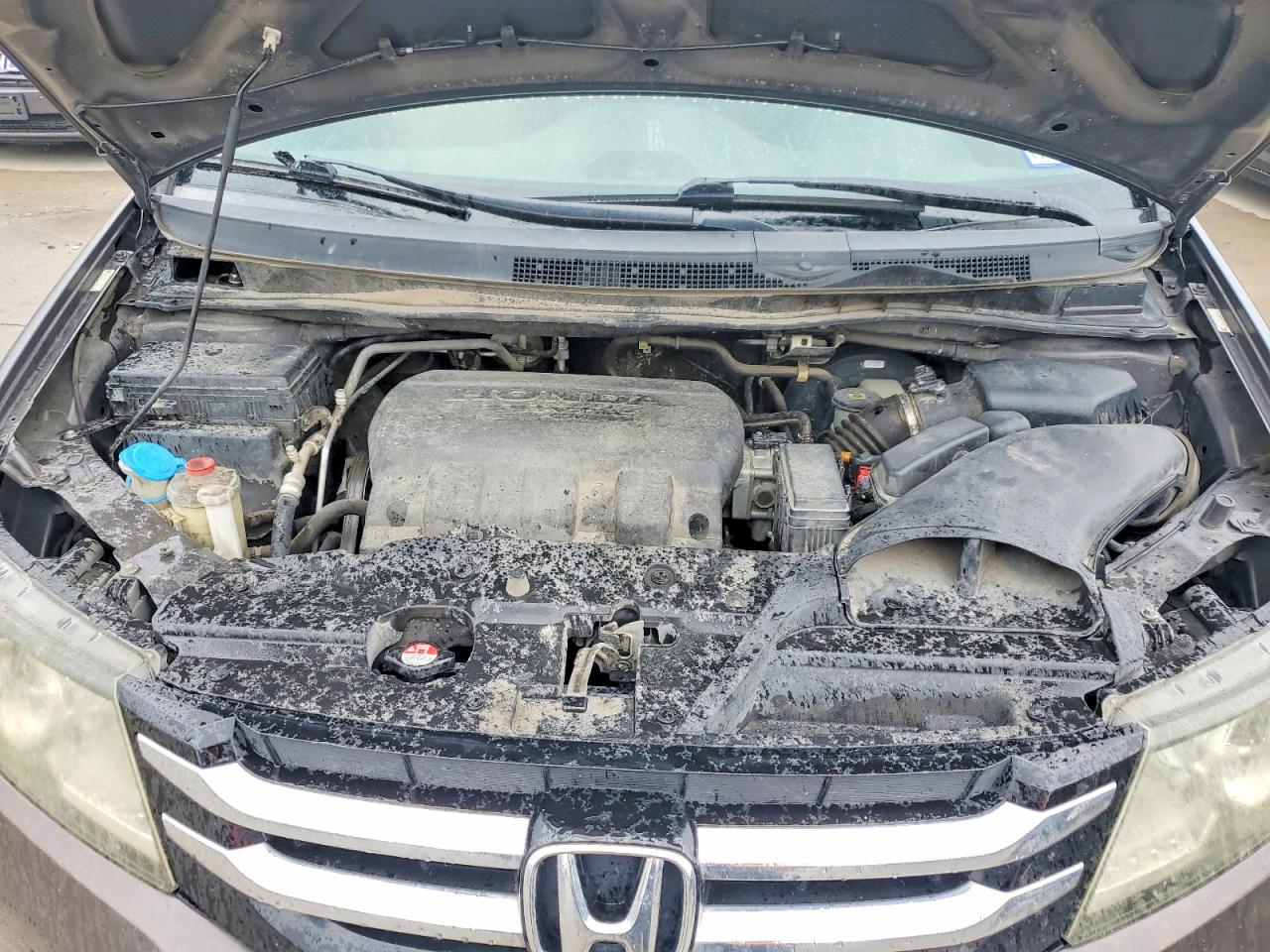 Honda Odyssey Se