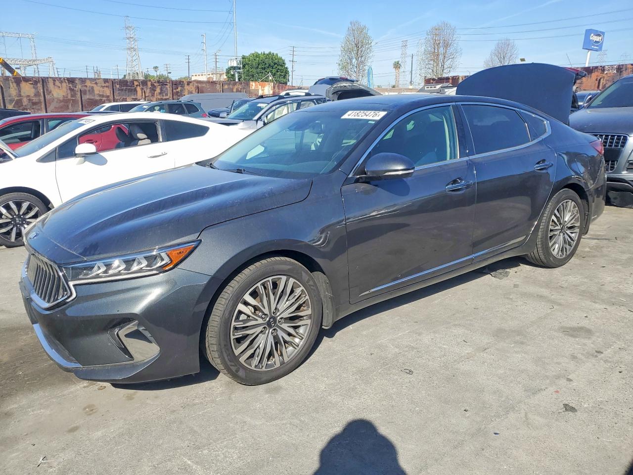 Salvage Kia Cadenza Image
