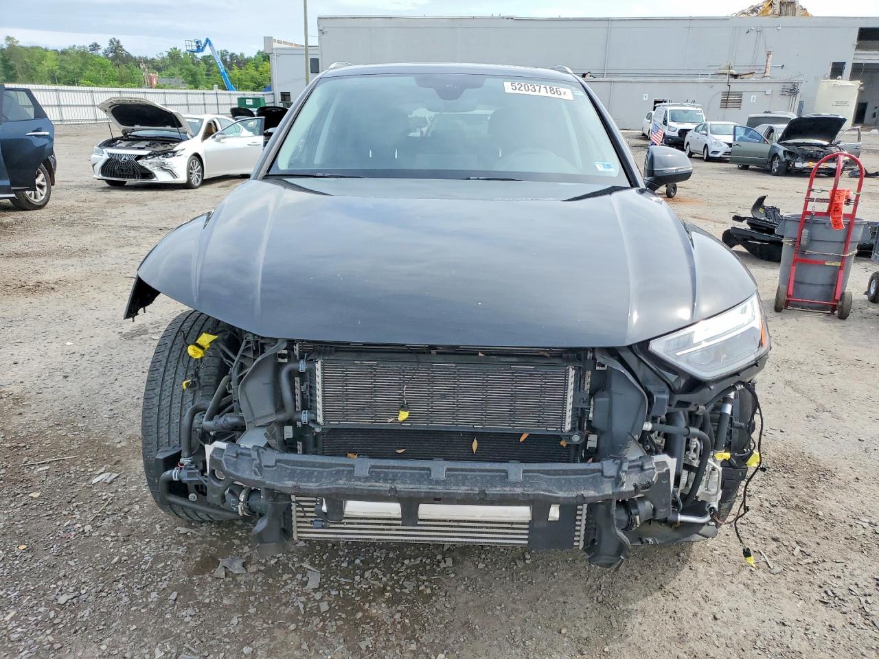 Audi Q5 Premium Plus 55
