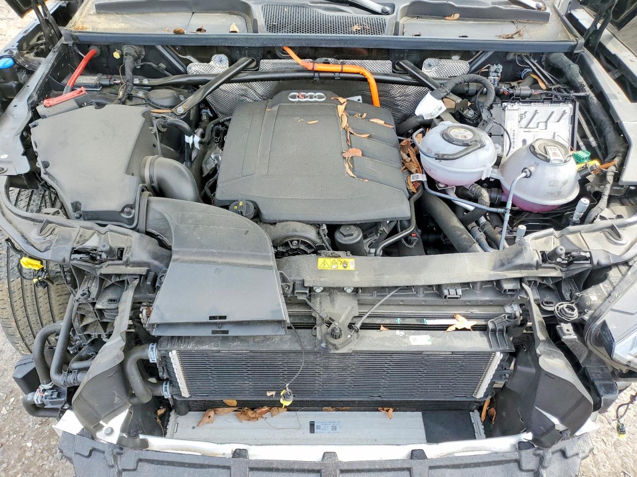 Audi Q5 Premium Plus 55