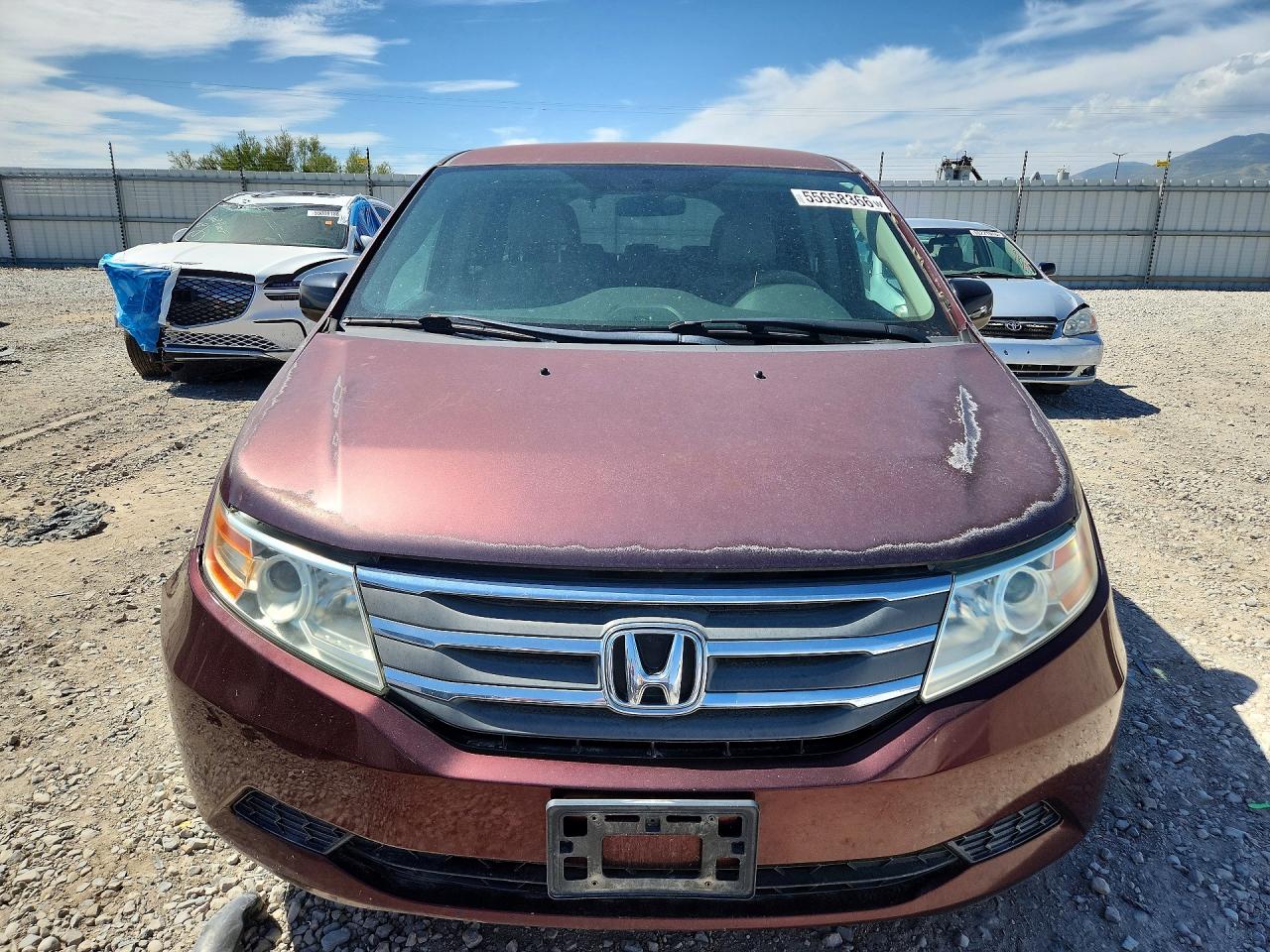 Honda Odyssey Ex