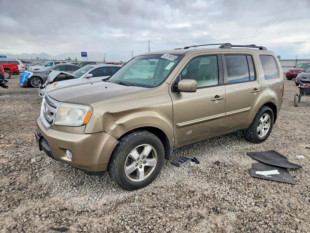 Salvage Honda Pilot Image