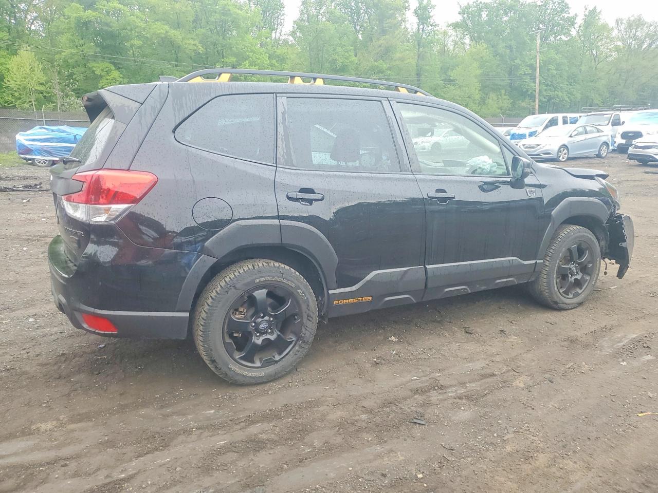 Subaru Forester Wilderness
