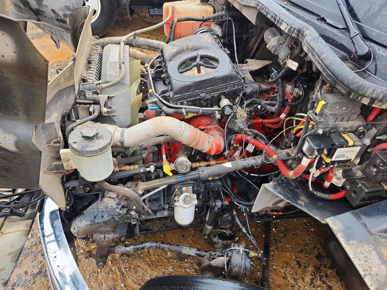 International Mv607