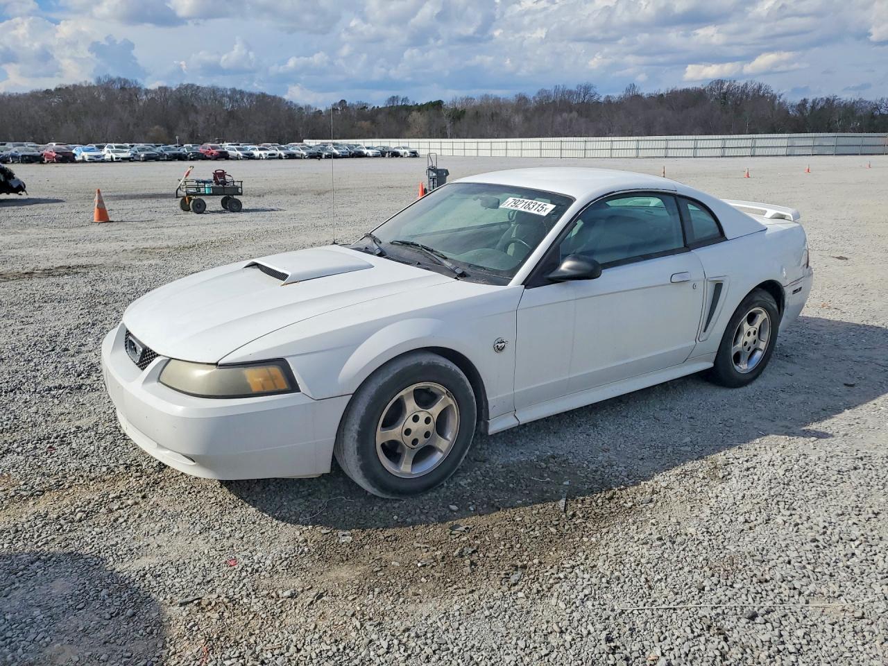 Salvage Ford Mustang Image